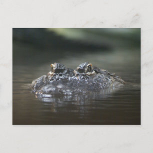 CARTE POSTALE DSC04518