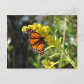 CARTE POSTALE DSC05261 (Devant)