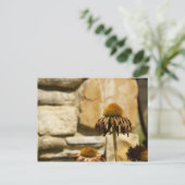 CARTE POSTALE DSC06868 (Debout devant)