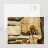 CARTE POSTALE DSC06868 (Devant / Derrière)