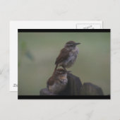 CARTE POSTALE DSC07310 (Devant / Derrière)