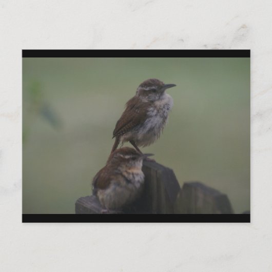 CARTE POSTALE DSC07310 (Devant)