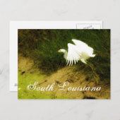 Carte Postale DSC08779bb, Louisiane du Sud (Devant / Derrière)