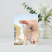 CARTE POSTALE _DSC2491 (Debout devant)