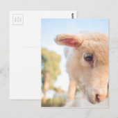 CARTE POSTALE _DSC2491 (Devant / Derrière)