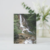 CARTE POSTALE DSC_0335 (Debout devant)