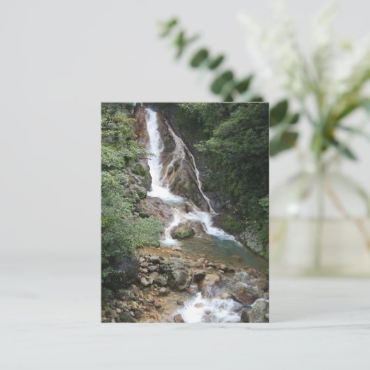 CARTE POSTALE DSC_0335 (Debout devant)