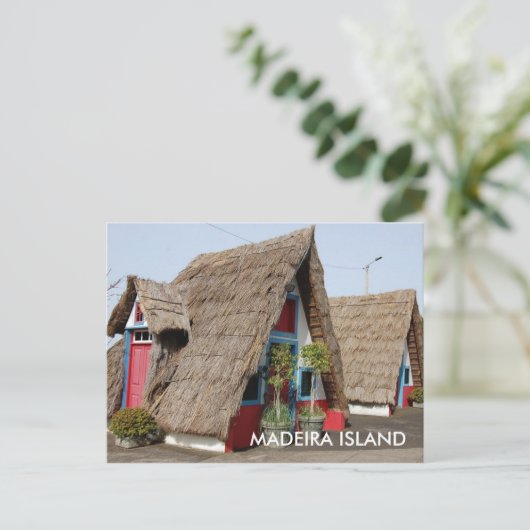 CARTE POSTALE DSC_0706, ÎLE DE MADEIRA (Debout devant)