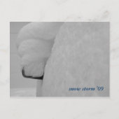 Carte Postale DSCF1089, tempête de neige '09 (Devant)