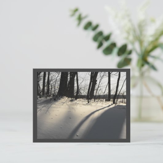 CARTE POSTALE DSCF1204 (Debout devant)