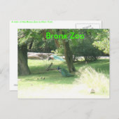 Carte Postale DSCF2638, Zoo Bronx (Devant / Derrière)