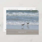 Carte Postale DSCF2949, île Topsail, NC (Devant / Derrière)