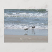 Carte Postale DSCF2949, île Topsail, NC (Devant)