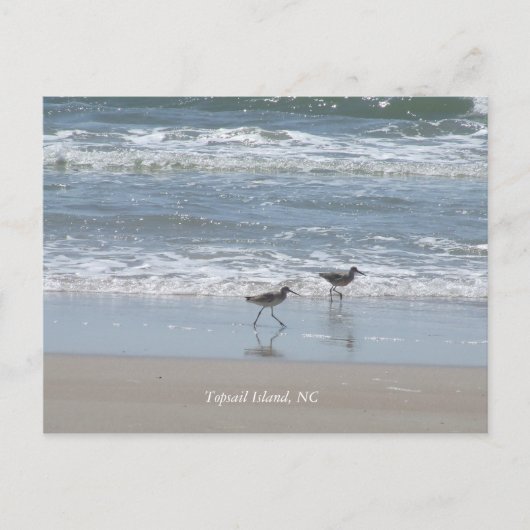 Carte Postale DSCF2949, île Topsail, NC (Devant)