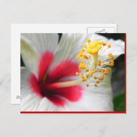 CARTE POSTALE DSCN0387 (Devant / Derrière)