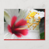 CARTE POSTALE DSCN0387 (Devant)