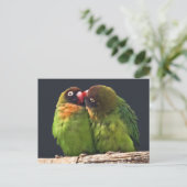 Carte postale du baiser d'inséparable (Debout devant)