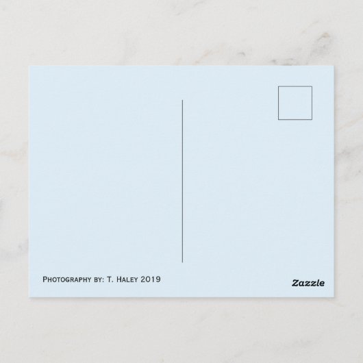 Carte postale du bateau Ruston Tacoma (Dos)