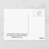 Carte postale du bâtiment Wrigley (Dos)