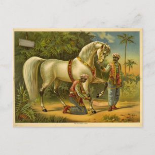 Carte postale du calendrier 2012 du Sultan