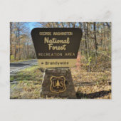 Carte postale du camping Brandywine (Devant)