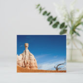 Carte postale du canyon Bryce NP - Gnome et un arb (Debout devant)