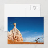 Carte postale du canyon Bryce NP - Gnome et un arb (Devant / Derrière)