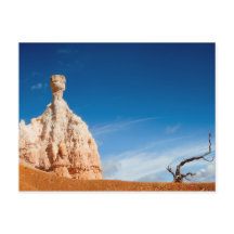 Carte postale du canyon Bryce NP - Gnome et un arb