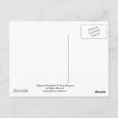 Carte postale du Cap May (Dos)