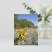 Carte postale du champ Automne (Debout devant)