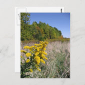 Carte postale du champ Automne (Devant / Derrière)