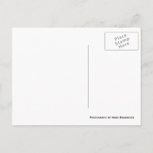 Carte postale du champ de blé (Dos)