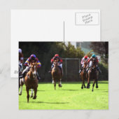 Carte postale du champ de course à cheval (Devant / Derrière)