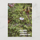 Carte postale du champignon Belknap avec devis de (Devant)