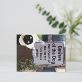 carte postale du chat (Debout devant)