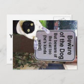 carte postale du chat (Devant / Derrière)