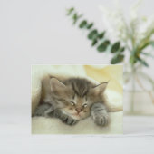 carte postale du chat (Debout devant)