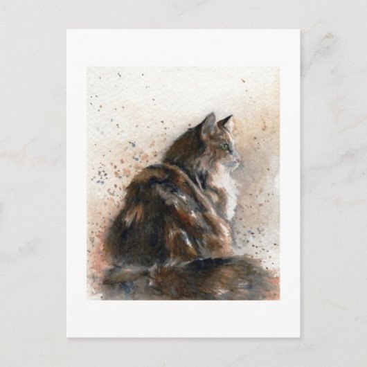 Carte postale du chat Maine Coon (Devant)