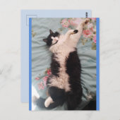 Carte postale du chat smoking faisant une danse jo (Devant / Derrière)