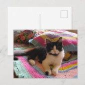 Carte postale du chat Tuxedo mignon avec un joli t (Devant / Derrière)