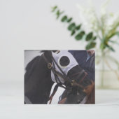 Carte postale du cheval de course (Debout devant)