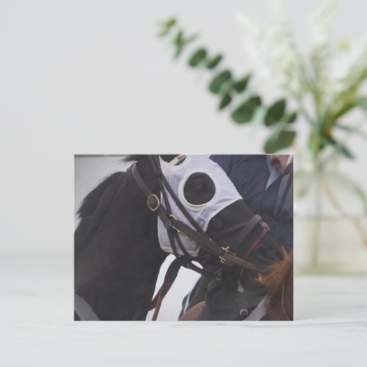 Carte postale du cheval de course (Debout devant)