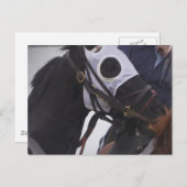 Carte postale du cheval de course (Devant / Derrière)