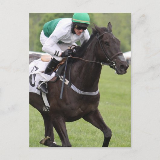 Carte postale du cheval de course Galloping (Devant)