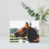 Carte postale du cheval de course Thoroughbred (Debout devant)
