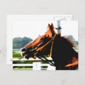 Carte postale du cheval de course Thoroughbred (Devant / Derrière)