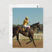 Carte postale du cheval de course Thoroughbred (Devant / Derrière)