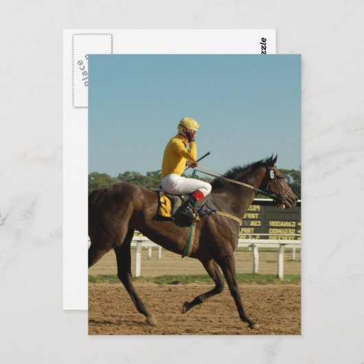 Carte postale du cheval de course Thoroughbred (Devant / Derrière)