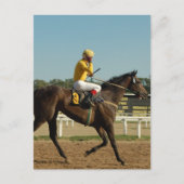 Carte postale du cheval de course Thoroughbred (Devant)