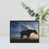 Carte postale du Cheval du coucher du soleil (Debout devant)
